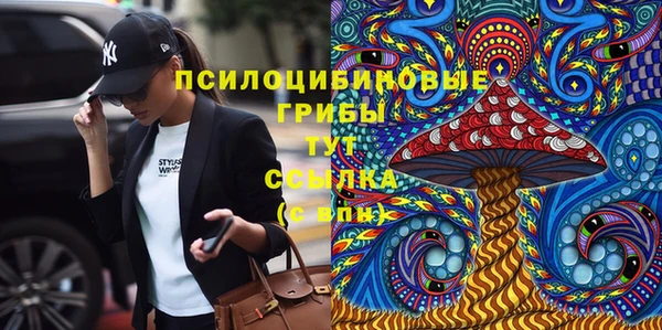 стафф Медногорск