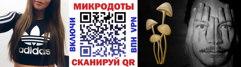 Псилоцибиновые грибы Psilocybine cubensis  продажа наркотиков  Обоянь 