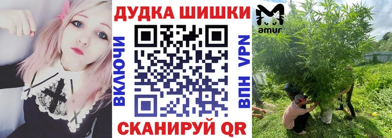 Каннабис OG Kush  Обоянь 